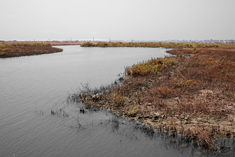 Wastewater from shipping industry destroying ecosystem near Krishnapatnam Port in Nellore district, Andhra Pradesh